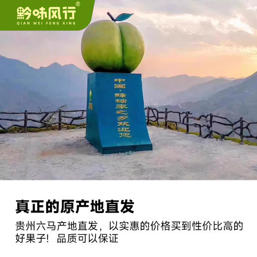 正宗六马蜂糖李蜜甜脱骨李顺丰包邮（市直机关） 商品图4