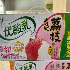 2025伊利优酸乳～荔枝贵妃味250ml*24