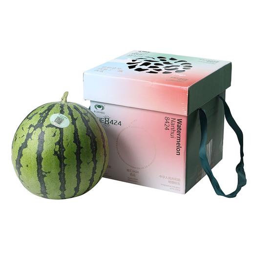 南汇8424西瓜1个礼盒装 单果3kg以上 商品图1