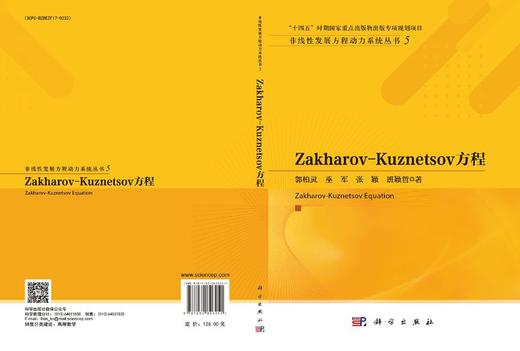 Zakharov-Kuznetsov方程 商品图3