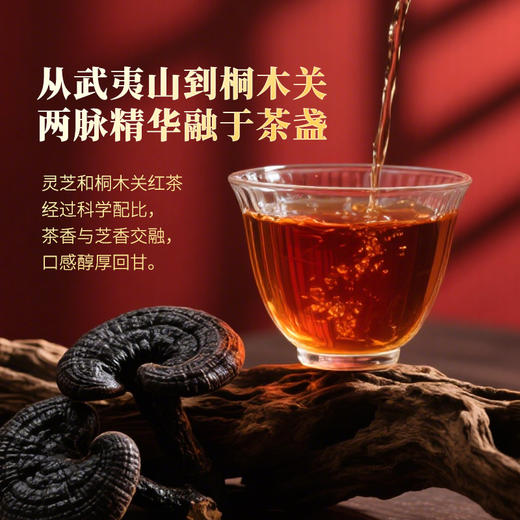 元生泰 灵芝红茶5g*2袋/盒*5盒  武夷灵芝与桐木关正山小种相融合 口感醇厚 商品图1