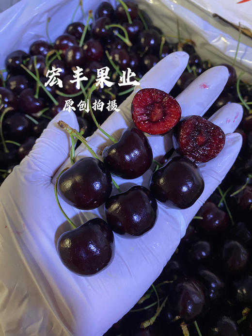 宏丰精选 美国车厘子硬度好 口感甜脆 长腿绿身 活动价138元2斤 商品图0