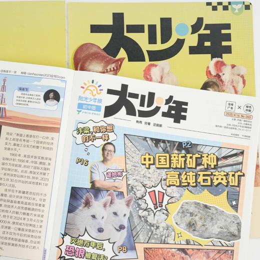 2025阳光年大少年-初中春夏合刊 2册 商品图2