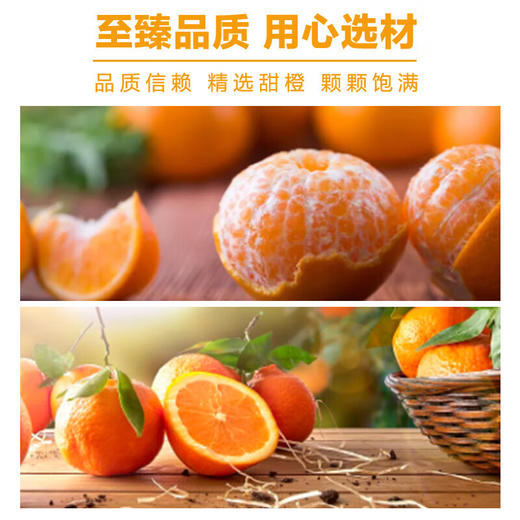 北冰洋 橙汁汽水迷你罐200ml*24罐 mini果汁碳酸饮料整箱 商品图3