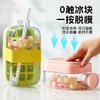 【没有甜甜的文案，只有吃冰的浪漫~】冰格水杯新款 2025高颜值水壶 食品级冰块模具 便携吸管杯夏-QQ 商品缩略图2