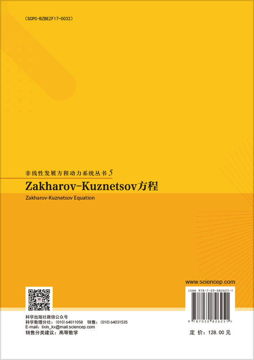Zakharov-Kuznetsov方程 商品图1