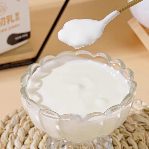 悠了优乐·新疆牛初乳酸奶 560g*2  新疆原产 口感细腻不酸涩 商品图1