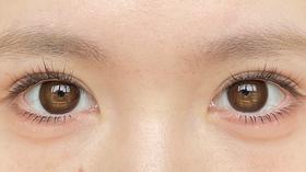 papadox日抛美瞳 焦糖牛角包 14.5mm