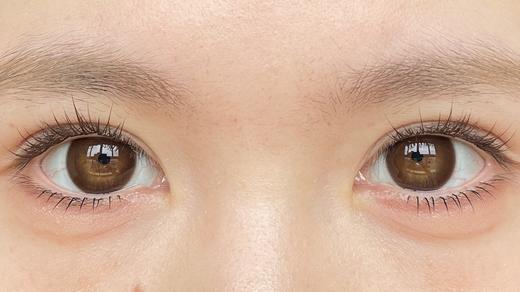 papadox日抛美瞳 焦糖牛角包 14.5mm 商品图0