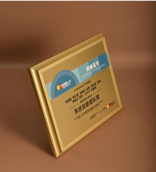 高档金属奖牌创意授权牌定制牌匾定做荣誉纪念铜牌证书奖杯订制 商品图5