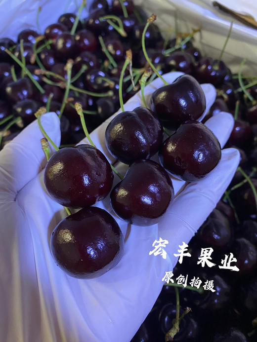 宏丰精选 美国车厘子硬度好 口感甜脆 长腿绿身 活动价138元2斤 商品图8