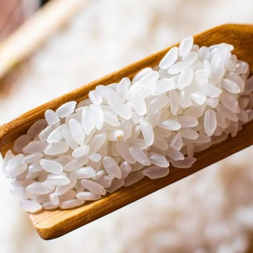 黑龙江哈尔滨询米道五常大米5kg/袋 商品图3