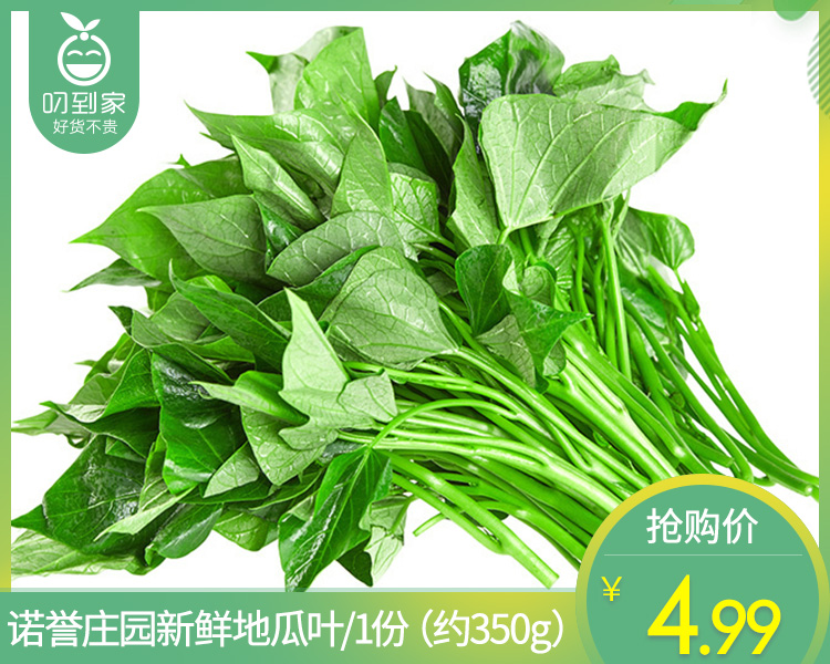 【叼鲜蔬】诺誉庄园新鲜地瓜叶/1份（约350g）