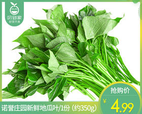 【叼鲜蔬】诺誉庄园新鲜地瓜叶/1份（约350g）