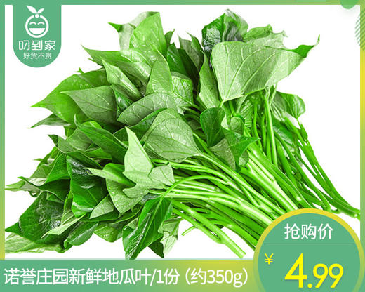 【叼鲜蔬】诺誉庄园新鲜地瓜叶/1份（约350g） 商品图0