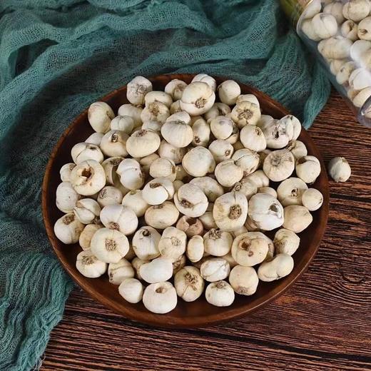 好货不常有野生藏贝母怀中抱月天然无硫熏有天上珍珠的美誉洗净生嚼磨粉泡水喝炖雪梨都顺丰基地直邮 商品图1