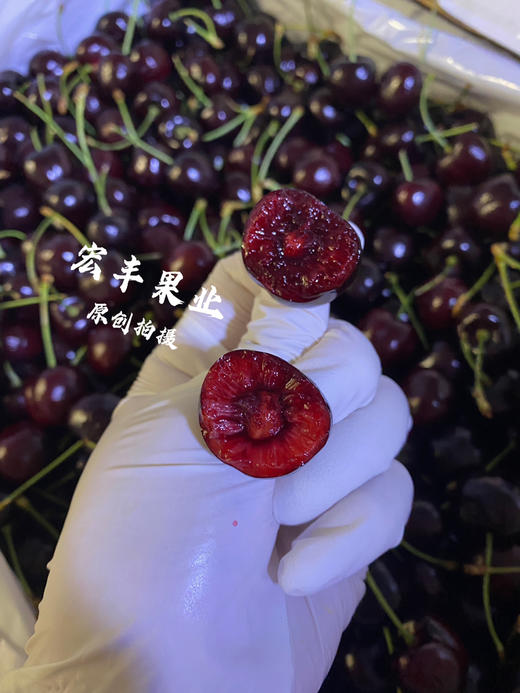 宏丰精选 美国车厘子硬度好 口感甜脆 长腿绿身 活动价138元2斤 商品图2