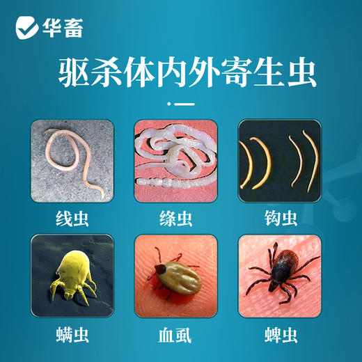 阿苯达唑伊维菌素片 0.36g*100/瓶 抗寄生虫 商品图2