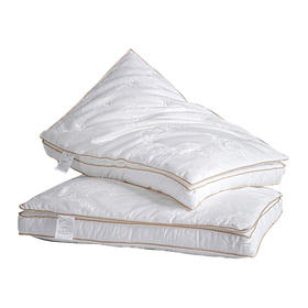 贡缎蚕丝双层枕芯一对装  A-4797