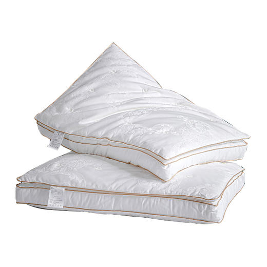 贡缎蚕丝双层枕芯一对装  A-4797 商品图0