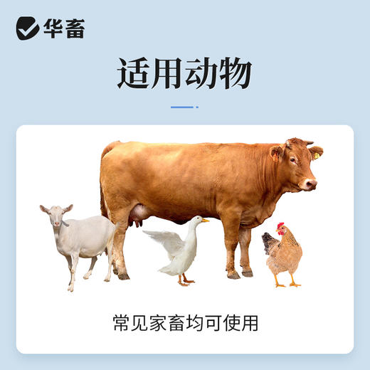华畜兽药氯硝柳胺片牛羊家禽驱虫药灭绦灵绦虫反刍动物前后盘吸虫 商品图3