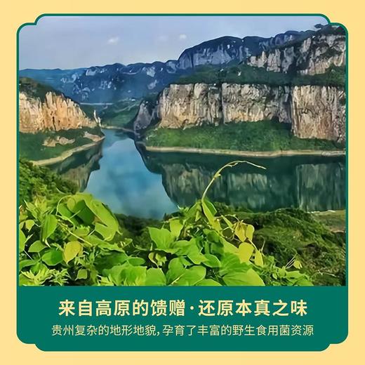 贵州毕节织金筠如意织金红托竹荪20g/袋 商品图1