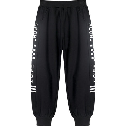 A69男童裤子春秋款儿童运动裤新款秋装男孩早秋大童休闲长裤 商品图3