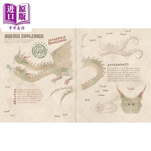 【中商原版】驯龙高手 龙之书 Book of Dragons 英文原版 儿童绘本 奇幻冒险神话生物读物 进口童书 受电影启发的博克岛龙指南 商品图2
