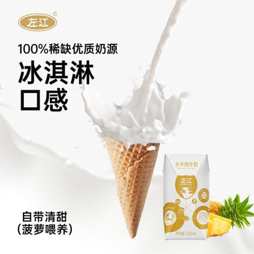 【稀缺优质奶源】左江水牛纯奶 210ml*10盒 高营养健康全家放心喝 商品图6