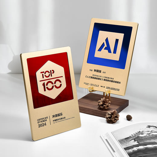 高档金属奖牌定制简约现代科技感商务风授权牌年会活动颁奖纪念品 商品图5