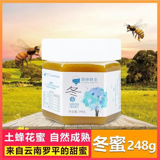 腊峰蜂业 冬蜜（土蜂蜜）1瓶*248g 厂家直发 商品图0