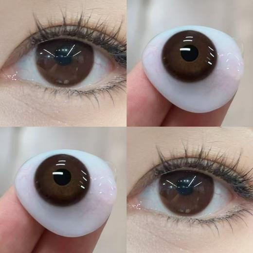『大直径日抛』PAPADOX-焦糖牛角包-14.5mm【日抛 0-800度 无525/575 】 商品图6