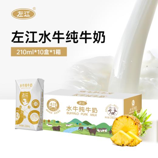【稀缺优质奶源】左江水牛纯奶 210ml*10盒 高营养健康全家放心喝 商品图5