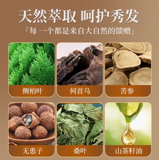 洗发皂  侧柏叶何首乌香皂角中草药护发皂男女适用 100克/块 内含起泡网 商品图1