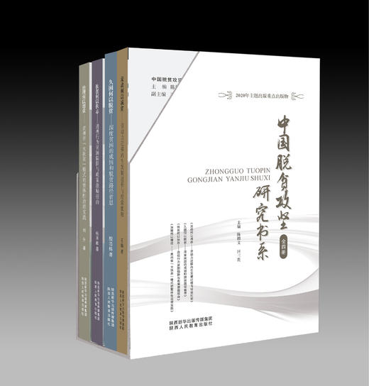 中国脱贫攻坚研究书系 商品图0