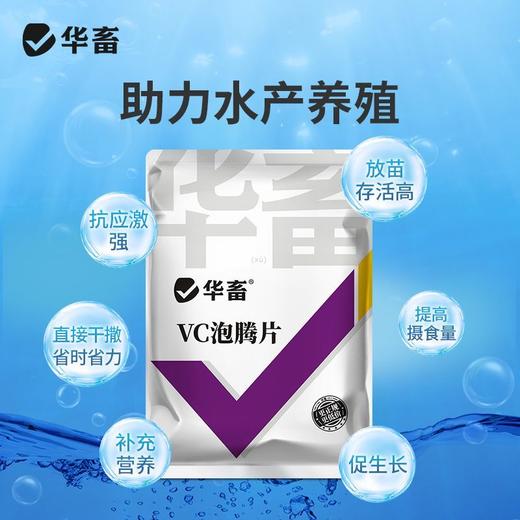 华畜VC泡腾片应激宝小龙虾蟹鱼用电解多维生素C应激灵水产养殖 商品图3