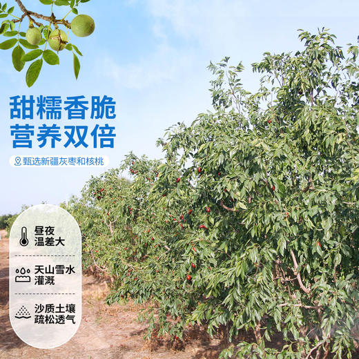 西域美农美仁派 150g/袋 1kg/盒  枣子绵甜 核桃香脆红枣夹核桃升级版 商品图7