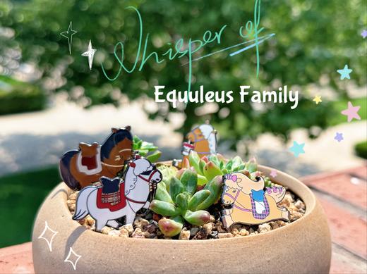 【天星潮玩店】天星小马团基础款徽章 商品图2