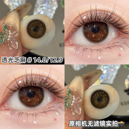 sincecon 半年抛【透光芝麻】14.0mm 商品图1