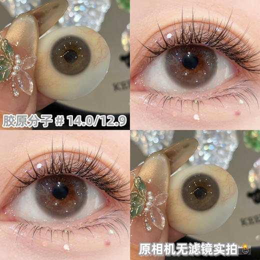 sincecon 半年抛【胶原分子】14.0mm 商品图1