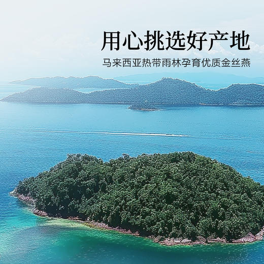 【正宗同仁堂品牌】北京同仁堂 造养青年 马来燕窝（金标款）-30克   优质金丝燕SY 商品图8