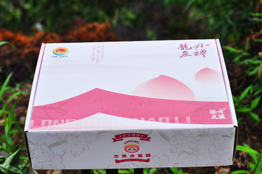 早黄玉·水蜜桃礼盒〔龙泉好礼〕出口级 -  脆甜多汁 非凡品质 -净重4.5斤【水果】 商品图1