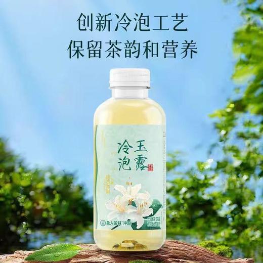 象入茶林冷泡玉露无糖茶饮料520ml-0521-22217509 商品图0