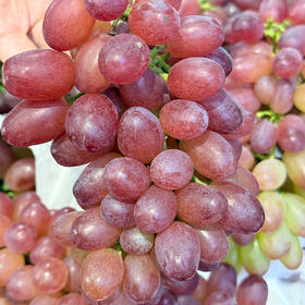 【3斤十堰主城区包邮】新鲜水果 脆爽多汁 郧阳区葡萄七星女王无籽红提  500g 