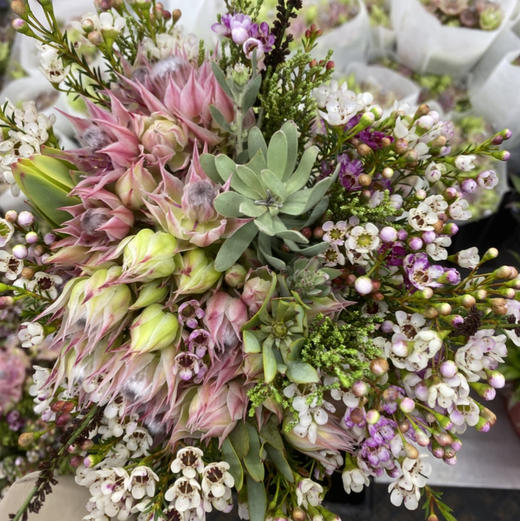 进口花-南非花束-1扎 商品图0