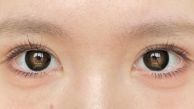 papadox日抛美瞳 限定黑松露 14.5mm