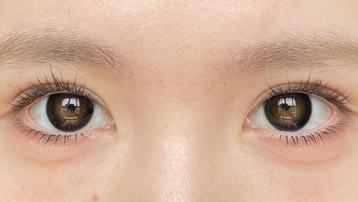 papadox日抛美瞳 限定黑松露 14.5mm 商品图0