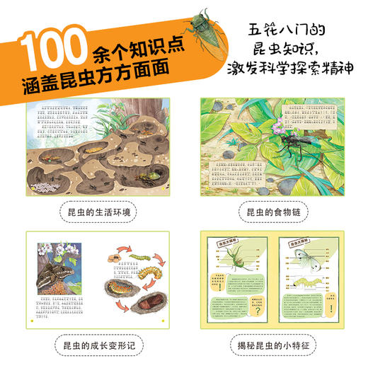 《给孩子的法布尔昆虫记》注音版  全10册 5-14岁 20个昆虫故事260幅彩绘大图100+昆虫知识 保留原著精髓，创新改编故事 让孩子轻松读名著 赠：昆虫贴纸一张 商品图3
