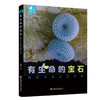 有生命的宝石 微距中的虫卵世界 走进蝴蝶的宝石秘密基地等收录60余种昆虫 发现故事科普自然类图书 商品缩略图3
