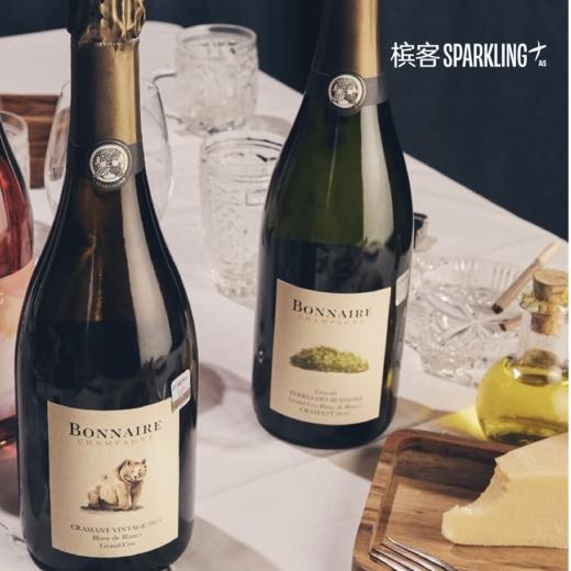 Bonnaire Cramant Grand Cru Blanc de Blancs 2016  宝奈儿克拉芒特级白中白 2016 750ml&1.5L 商品图3